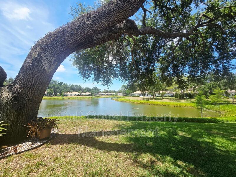Annual Rental in a Desirable 55+ Community – Beautiful 2 Bedroom, 2 Bath Villa with Lake Views property image
