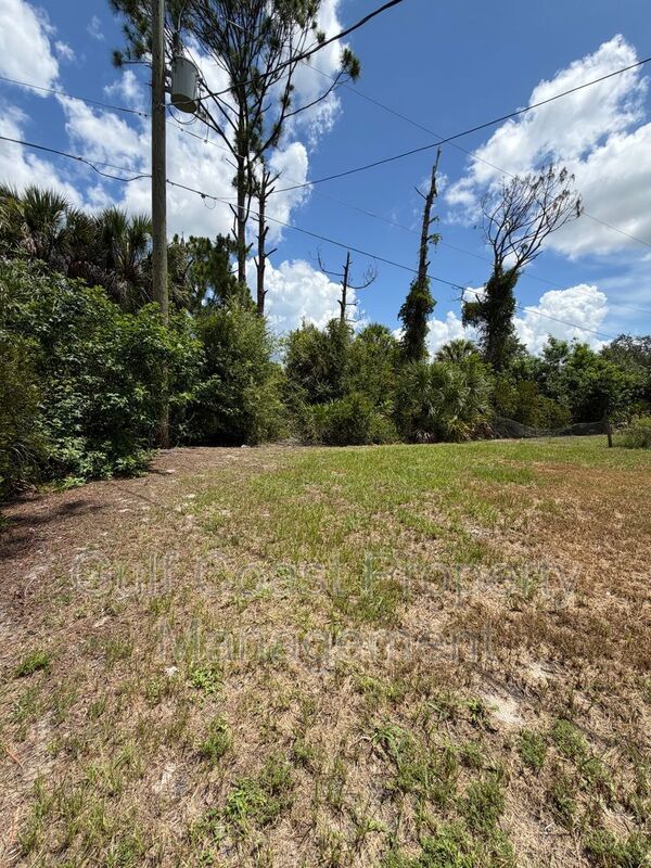 10162 Tramore Ave property image