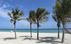 Anna Maria Island Property Management