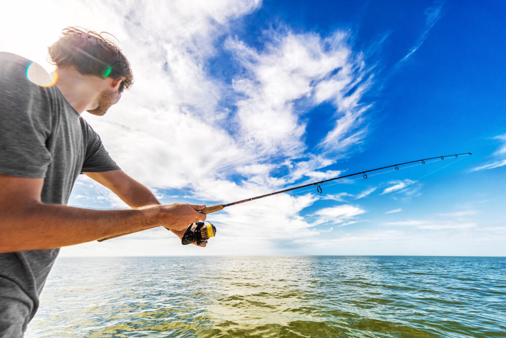 Cast a Line with Top Bradenton Fishing Charters