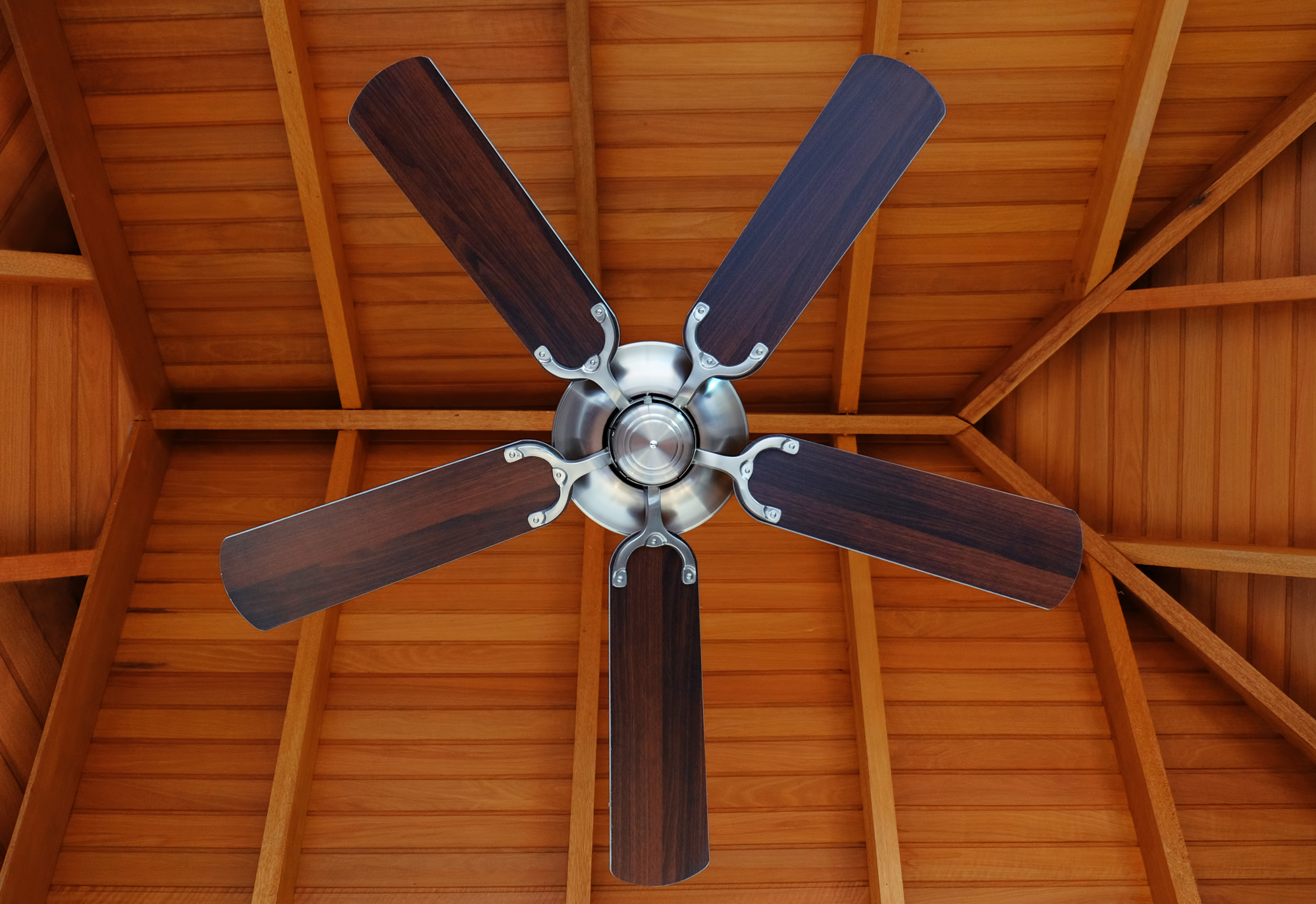 Ceiling fan, indoors