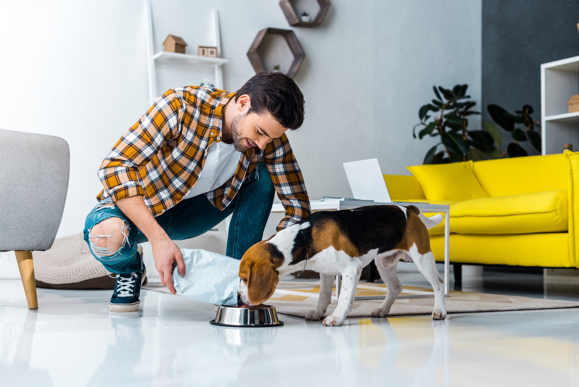 What to Do If A Tenant Sneaks a Pet Onto Your Property: Tips From Sarasota Property Management