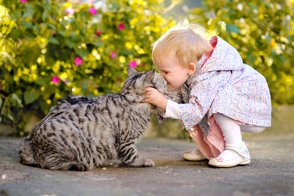 Portrait of a little girl with a cat