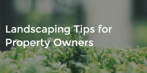 Landscaping Tips for Property Owners