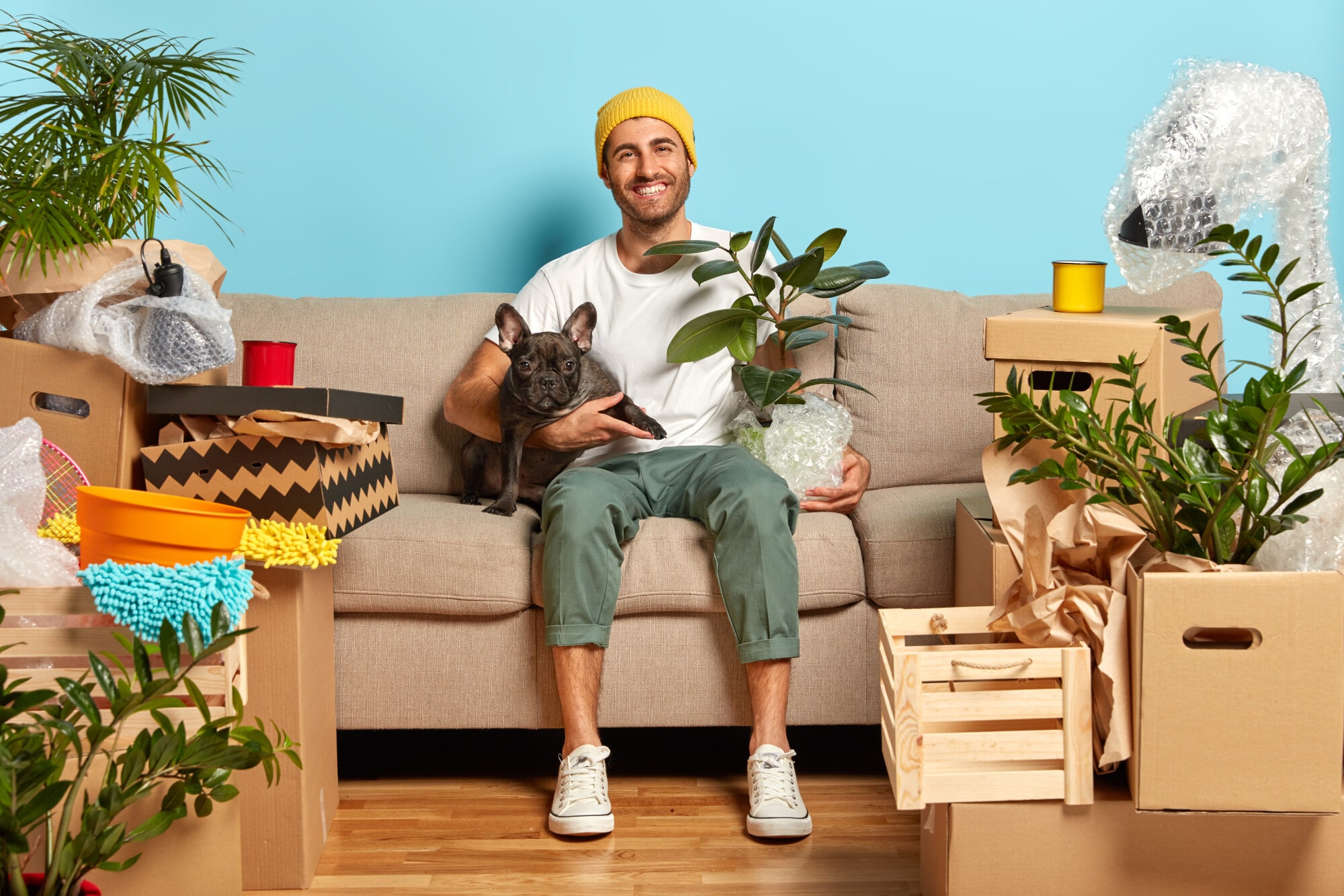 Should You Allow Pets in a Rental Property? What You Need to Know