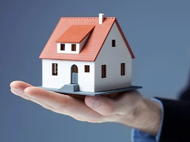 Free Rental Analysis