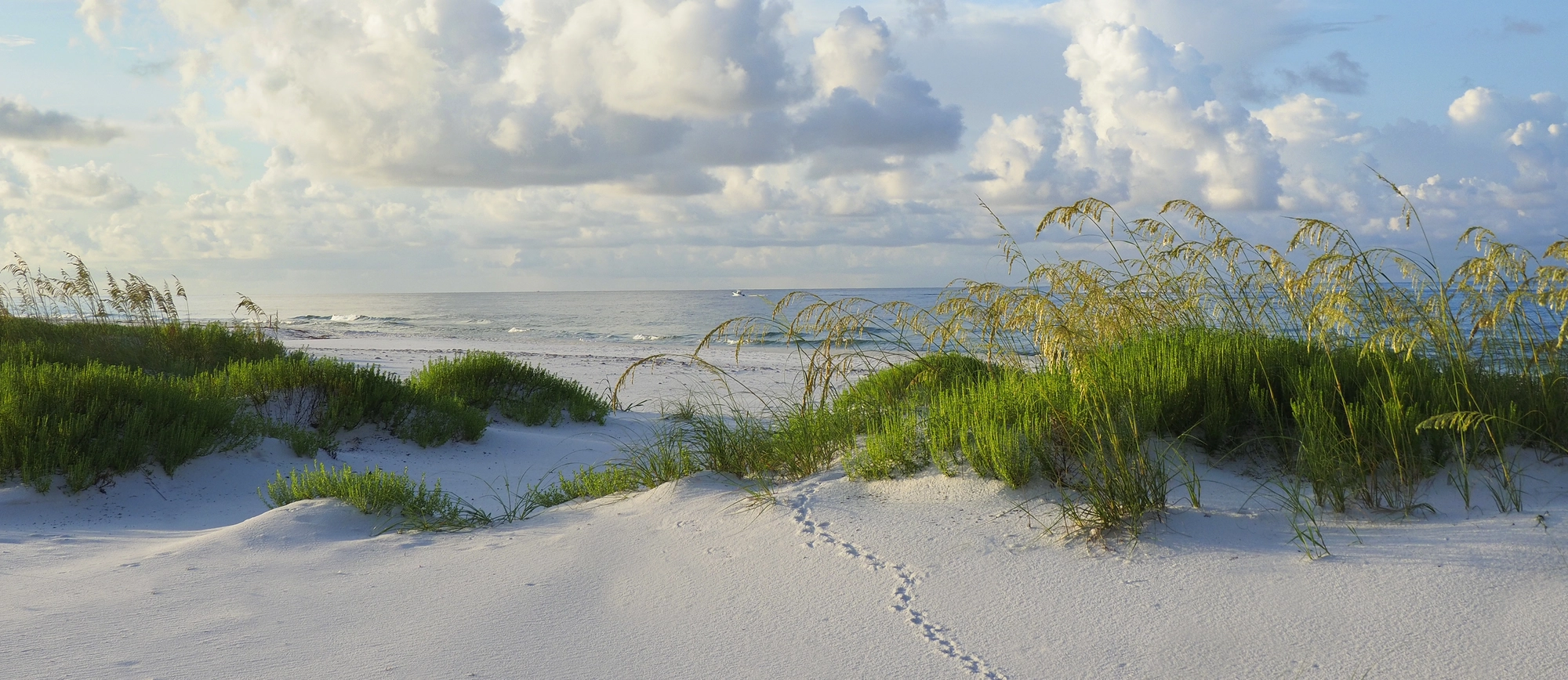 Giving Back to Our Community